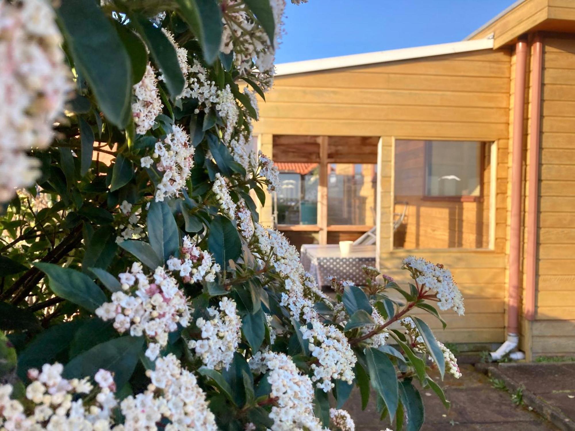 אנג'ום 3 Pers. Holiday Home Sonnenschein With Fenced Garden And Infrared Sauna מראה חיצוני תמונה